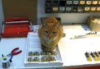 No-one is exempt from product training